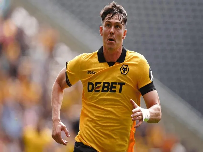 DO独家：水晶宫4800万报价拉尔森；狼队若放人或解锁马特塔